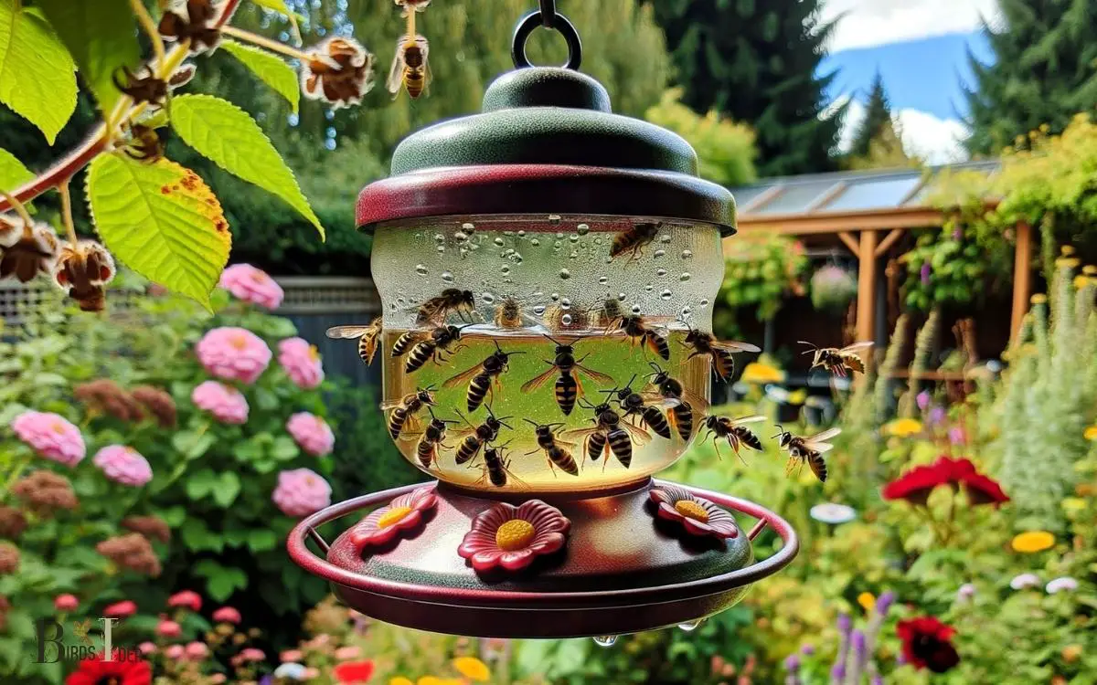 Do Hummingbird Feeders Attract Wasps
