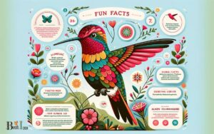 Allen’s Hummingbird Fun Facts: A Small Bird!