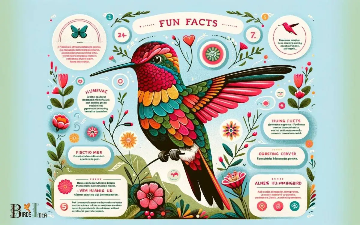 Allens Hummingbird Fun Facts