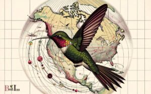Migration of Ruby Throated Hummingbird: Explanation!