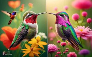 Ruby Throated Vs Anna’s Hummingbird: Comparison!